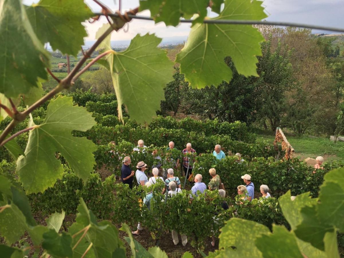 Merumalia Wine Resort Frascati Luaran gambar