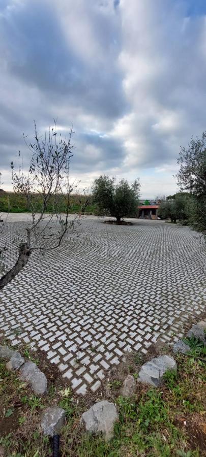 Merumalia Wine Resort Frascati Luaran gambar
