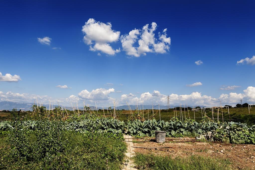 Merumalia Wine Resort Frascati Luaran gambar
