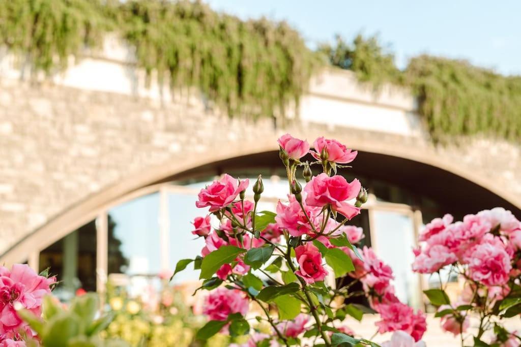 Merumalia Wine Resort Frascati Luaran gambar