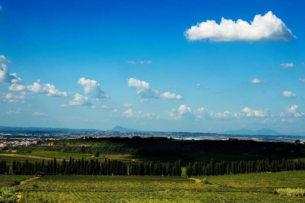 Merumalia Wine Resort Frascati Luaran gambar