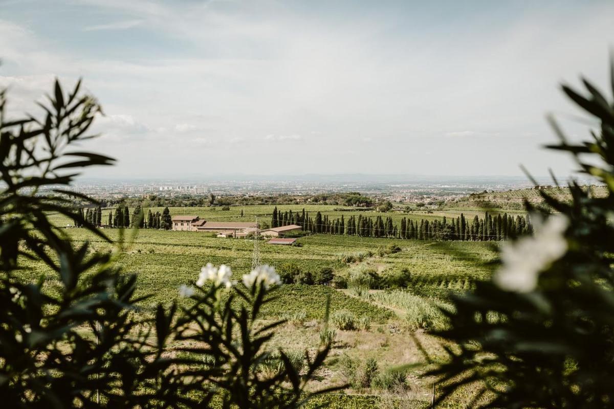 Merumalia Wine Resort Frascati Luaran gambar