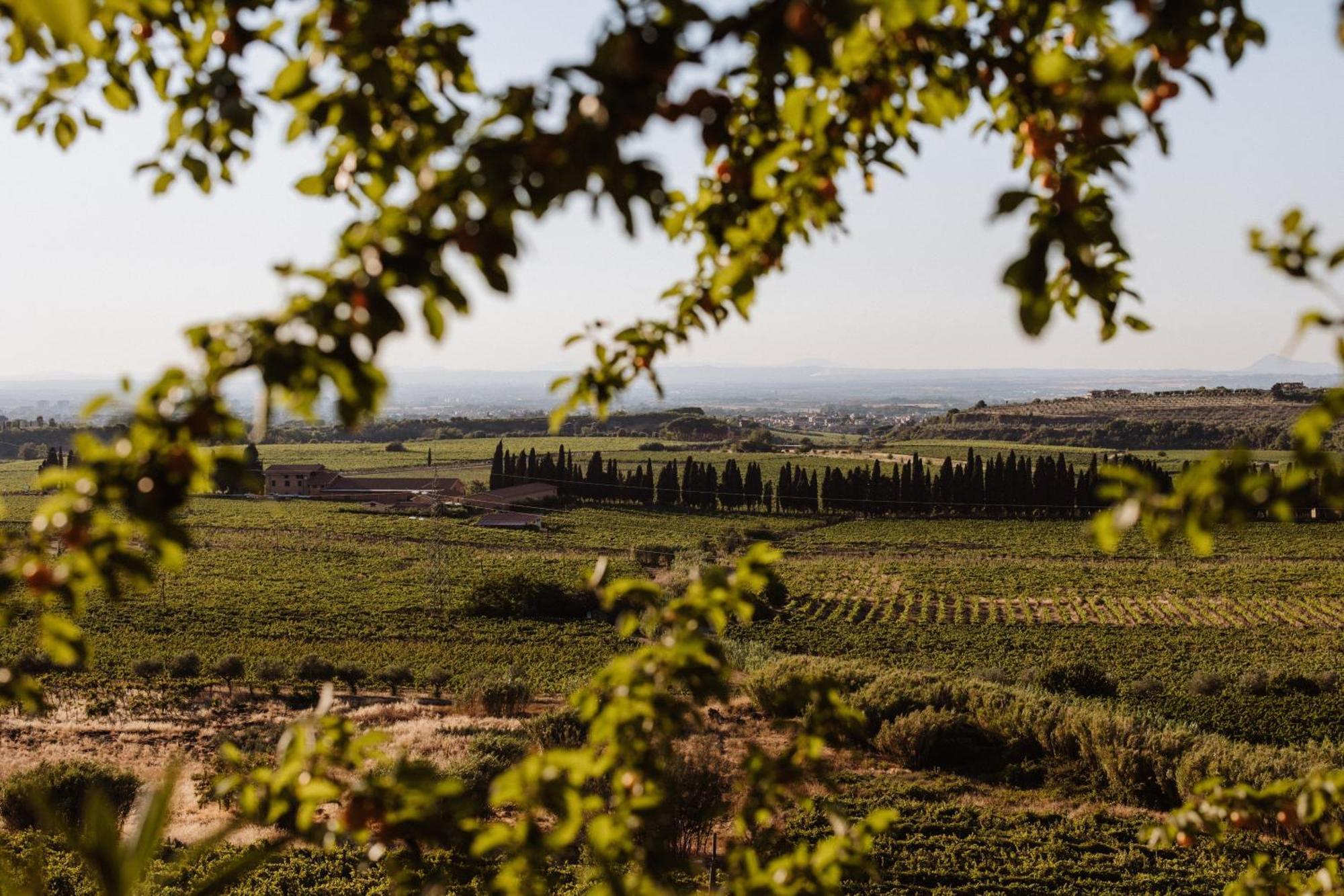 Merumalia Wine Resort Frascati Luaran gambar
