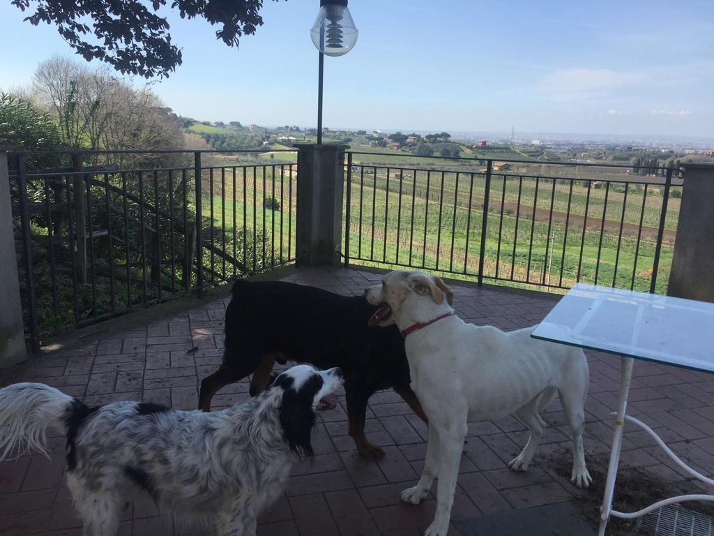 Merumalia Wine Resort Frascati Luaran gambar